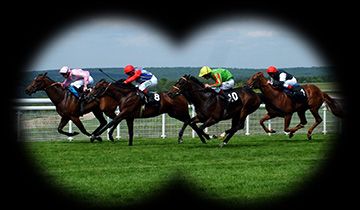 Best odds guaranteed on horse races