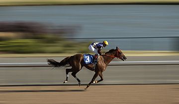 The Best Odds Guaranteed on horse racing