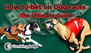 dog racing betting igra bez