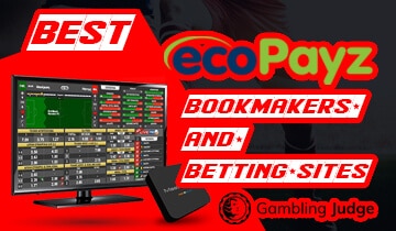 EcoPayz Casinos - Top Online Casinos to Offer ecoPayz Payments